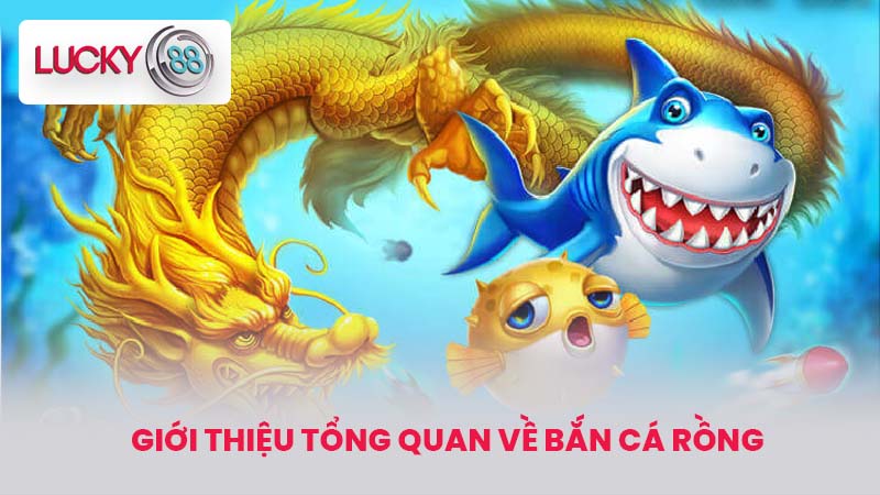 Bắn Cá Rồng - Trải Nghiệm Game Đỉnh Cao Cực Hấp Dẫn 2 Giới thiệu tổng quan về Bắn Cá Rồng