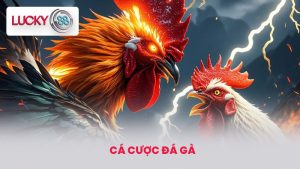 Cá Cược Đá Gà Tại LUCKY88 - Hướng Dẫn Chi Tiết Cách Tham Gia 8 cá cược đá gà