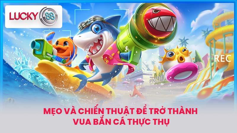 Vua Bắn Cá Cho Android - Tải Xuống APK Fishing Game 4 Mẹo Và Chiến Thuật Để Trở Thành Vua Bắn Cá Thực Thụ