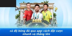 Cá độ bóng đá qua app