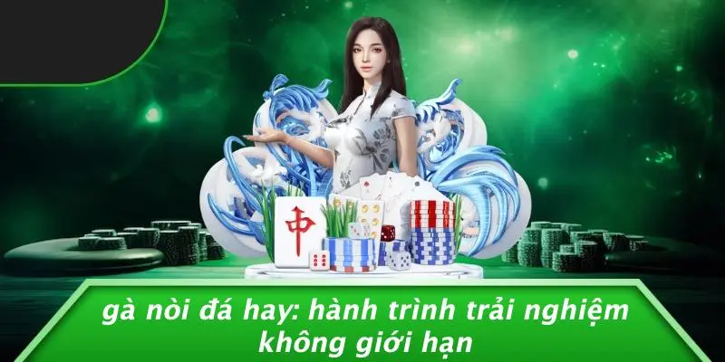 Gà nòi đá hay