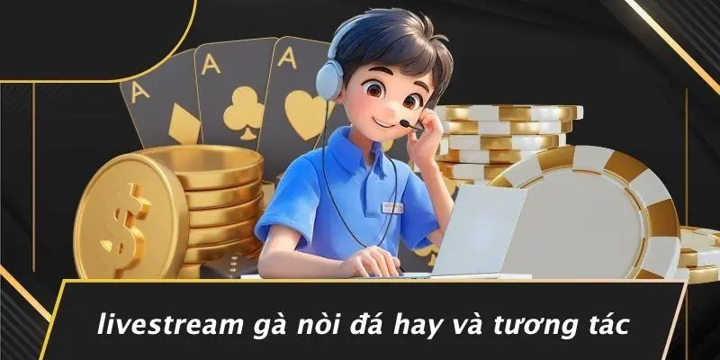 GÀ NÒI ĐÁ HAY: HÀNH TRÌNH TRẢI NGHIỆM KHÔNG GIỚI HẠN 3 Livestream Gà Nòi Đá Hay Và Tương Tác